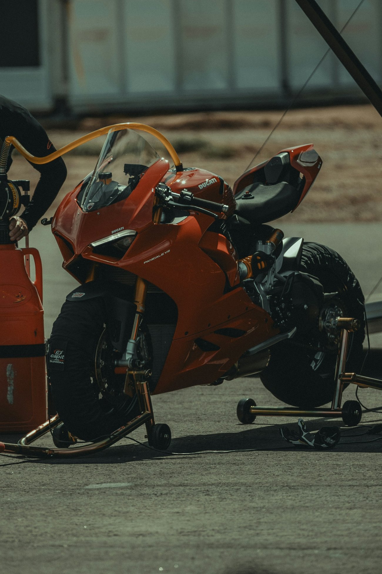 Sport & Performance