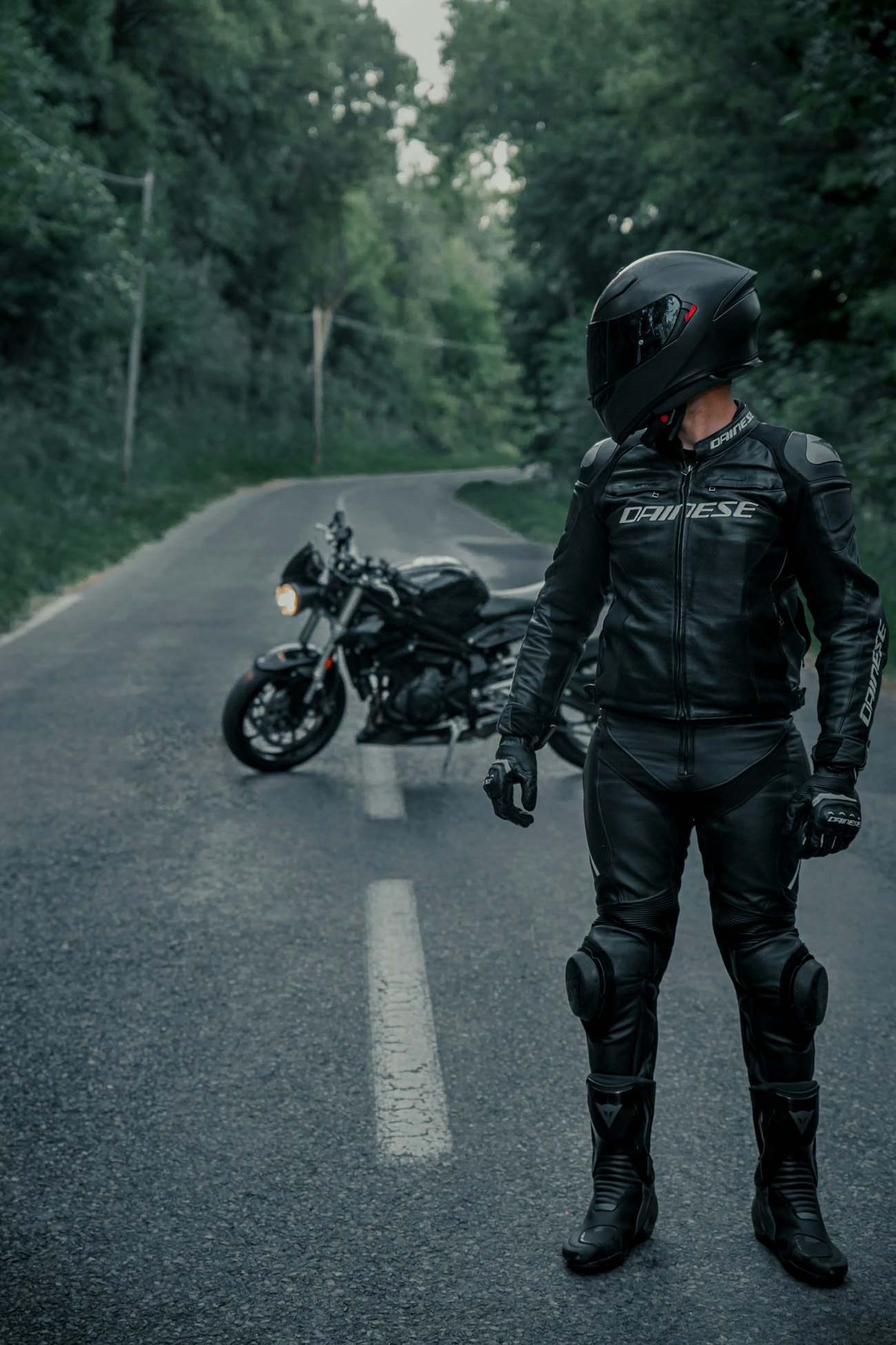 Rider on a forest road